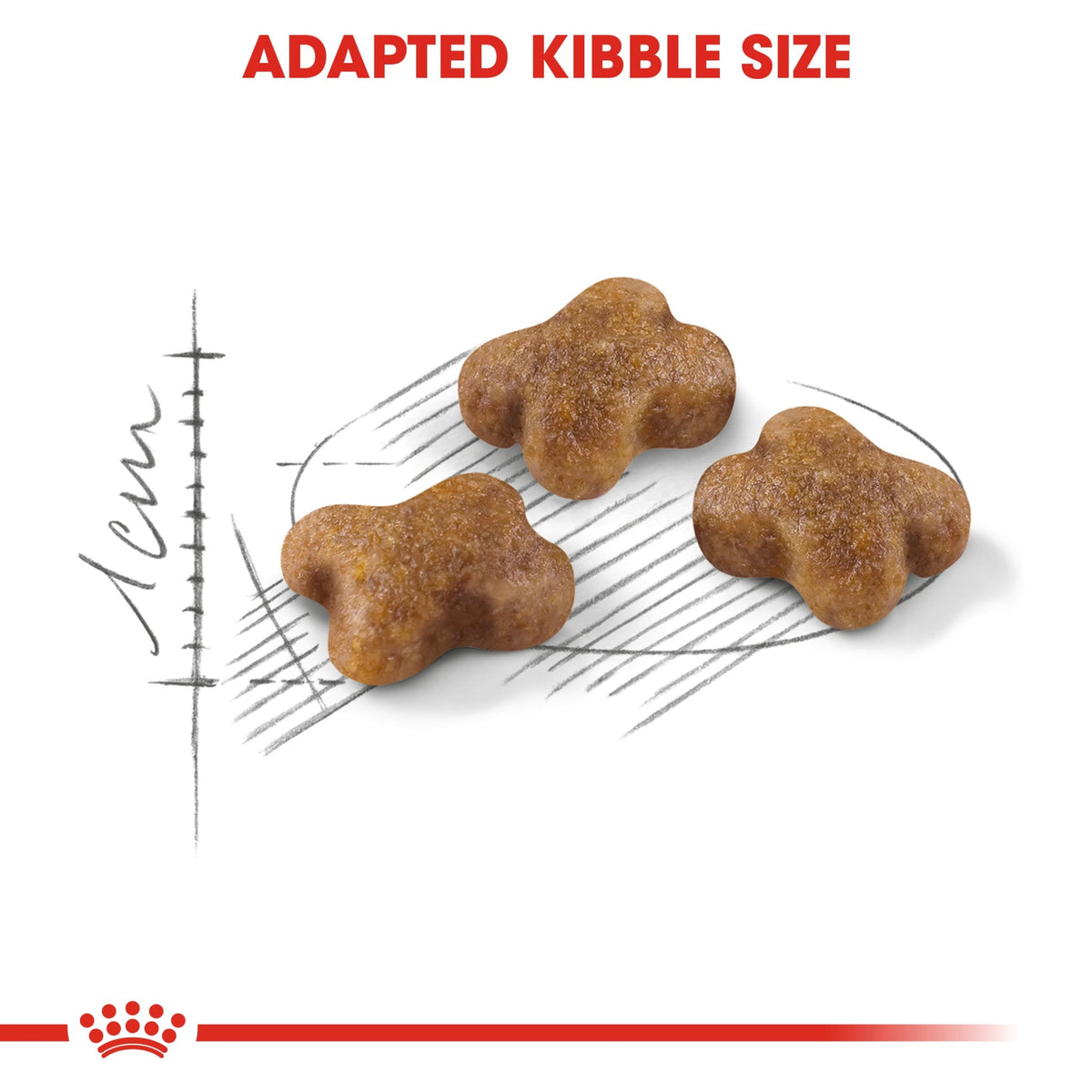 Feline Health Nutrition Kitten - Royal Canin
