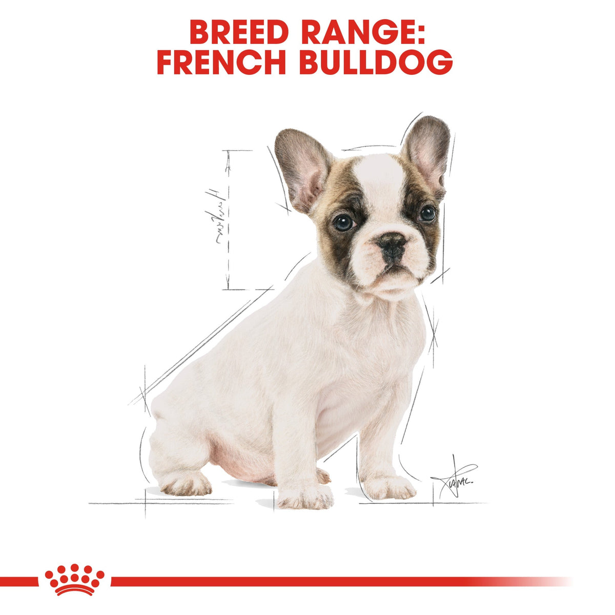 Breed Health Nutrition French Bulldog Puppy 3 kg