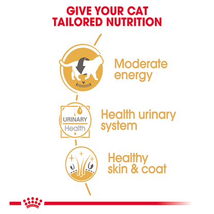Feline Breed Nutrition British Shorthair (Wet Food - Pouches) 12 x 85 g - BOX