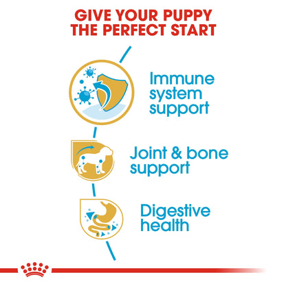 Breed Health Nutrition Dachshund Puppy 1.5 kg