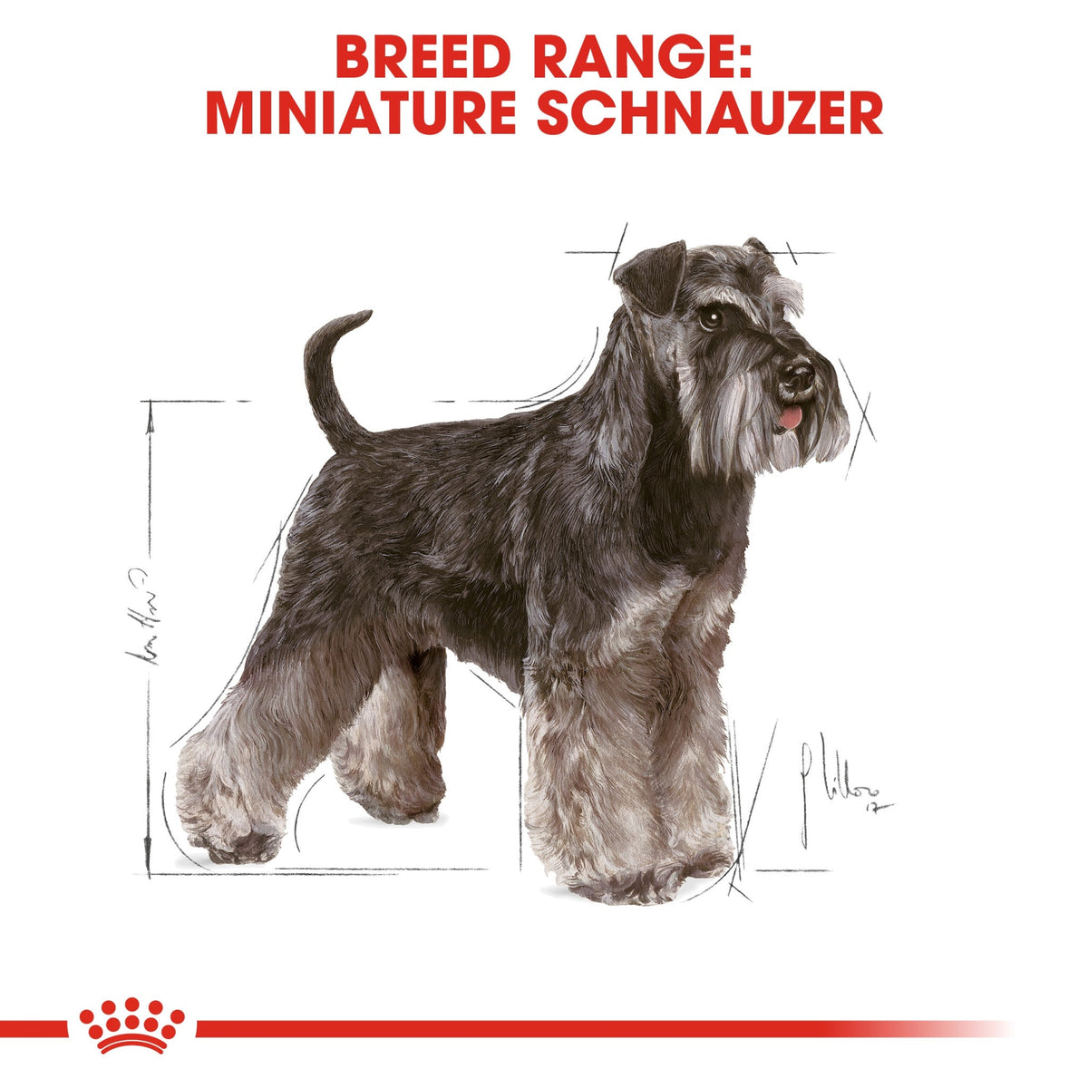 Breed Health Nutrition Miniature Schnauzer Adult 3 kg