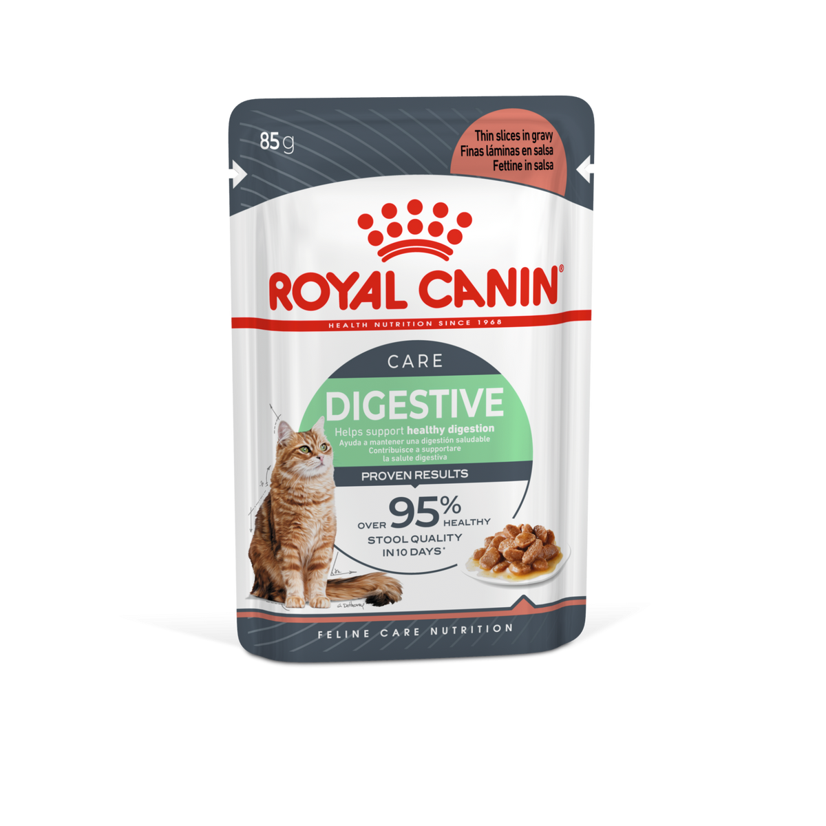 Feline Care Nutrition Digest Sensitive Gravy  85 g