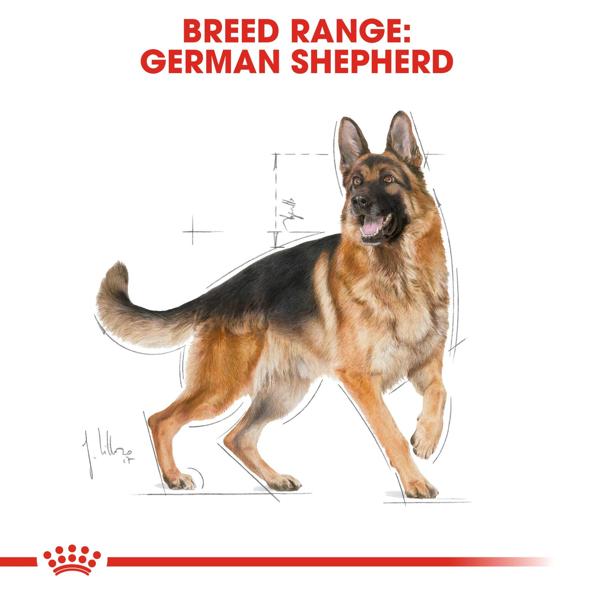 Breed Health Nutrition German Shepherd Adult 11 kg