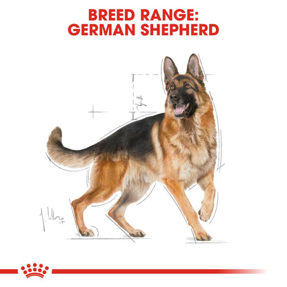 Breed Health Nutrition German Shepherd Adult 11 kg
