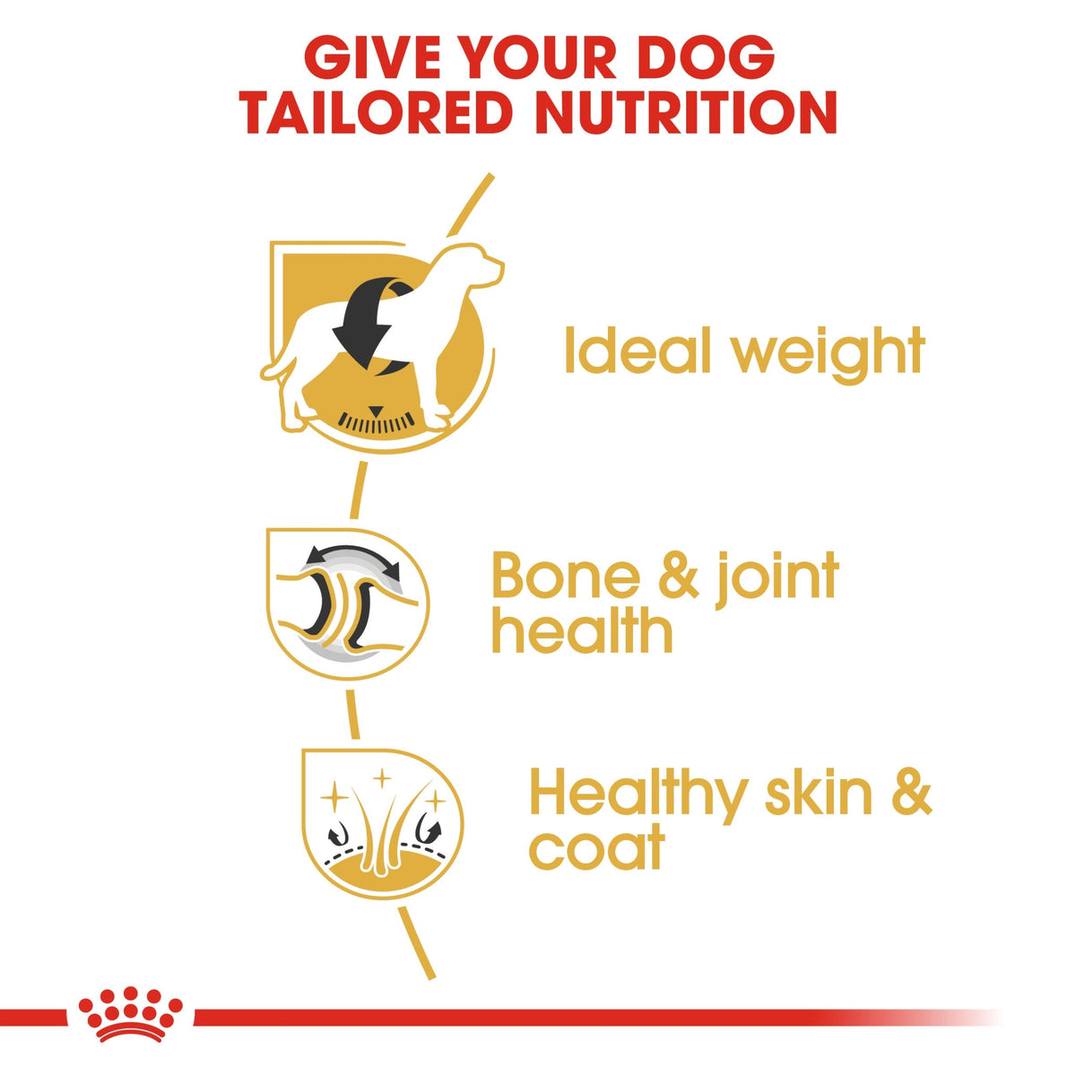 Breed Health Nutrition Labrador Adult 3 kg