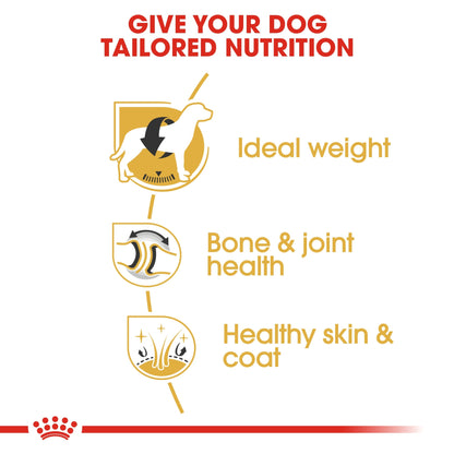 Breed Health Nutrition Labrador Adult 3 kg