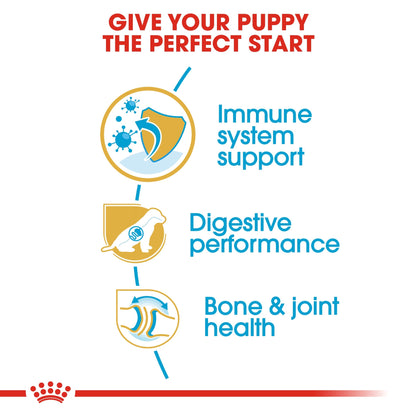 Breed Health Nutrition German Shepherd Puppy 12 kg