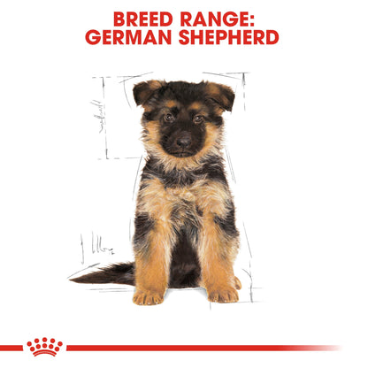Breed Health Nutrition German Shepherd Puppy 12 kg