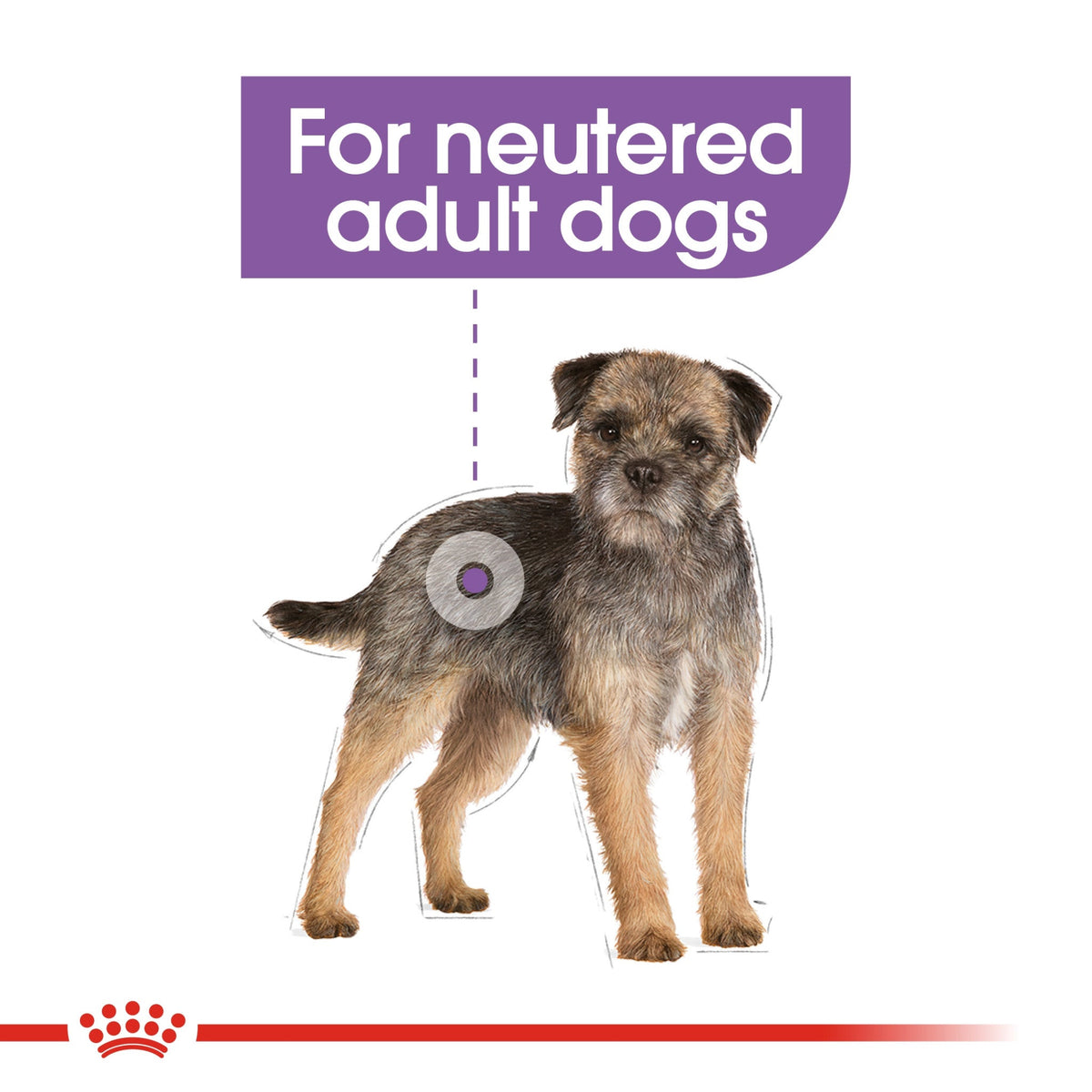 Canine Care Nutrition Mini Sterilized Adult 3 kg