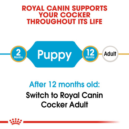 Breed Health Nutrition Cocker Puppy 3 kg
