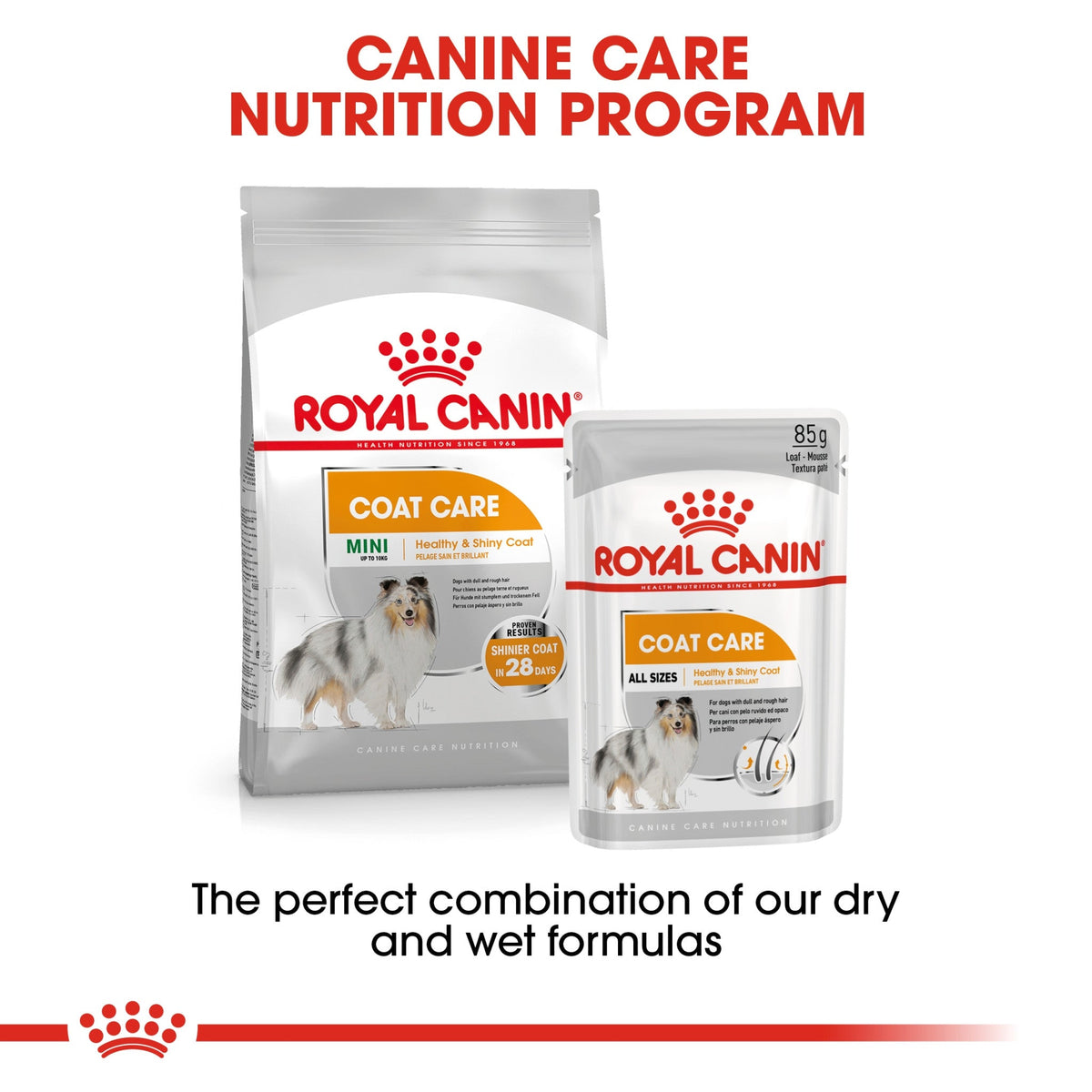 Canine Care Nutrition Coat Care (Wet Food - Pouches) 12 x 85 g - BOX