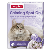Calming Spot on Cat