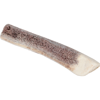 Natural Deer Antler for Puppy