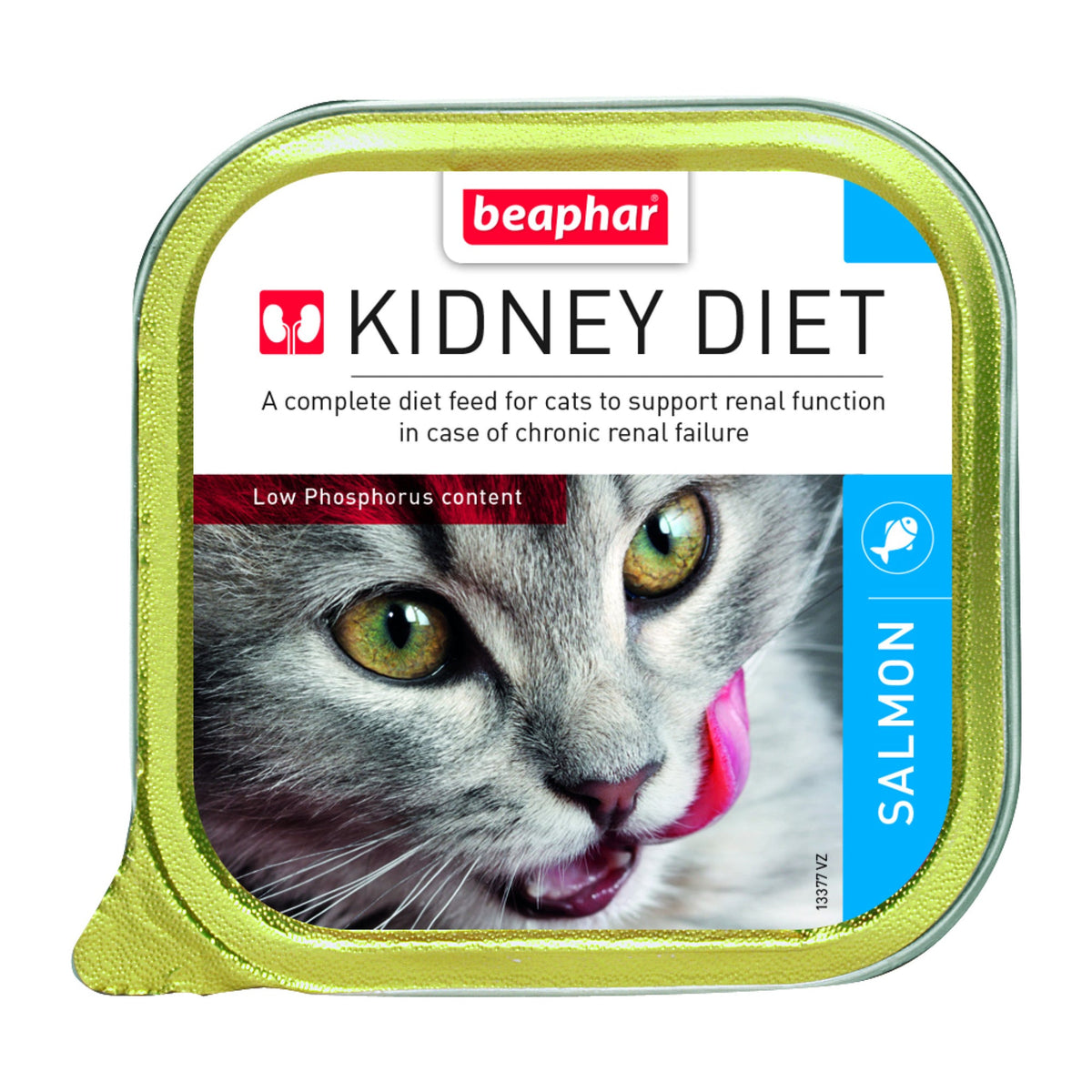Wet Food - Kidney/Renal Diet Salmon 16 x 100 g