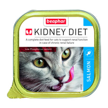 Wet Food - Kidney/Renal Diet Salmon 16 x 100 g