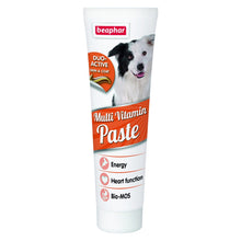 Duo Active Paste Multivitamin Dog 100 g