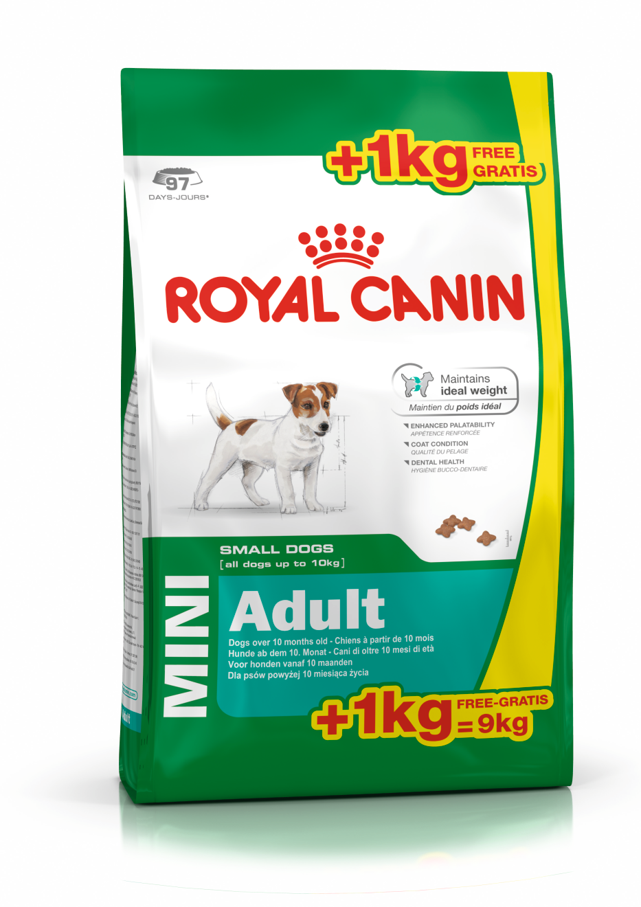 Royal Canin Size Health Nutrition Mini Adult 8+1kg