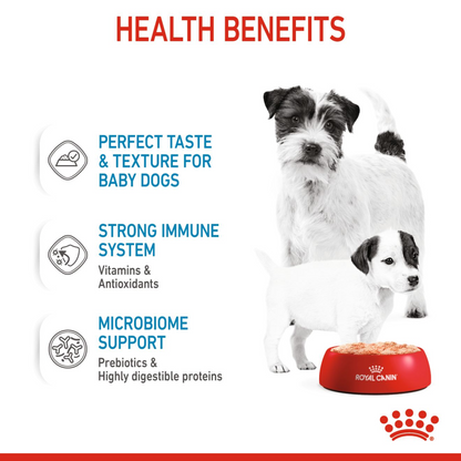 Canine Health Nutrition Starter Mousse (Wet Food - Cans) 12 x 195 g