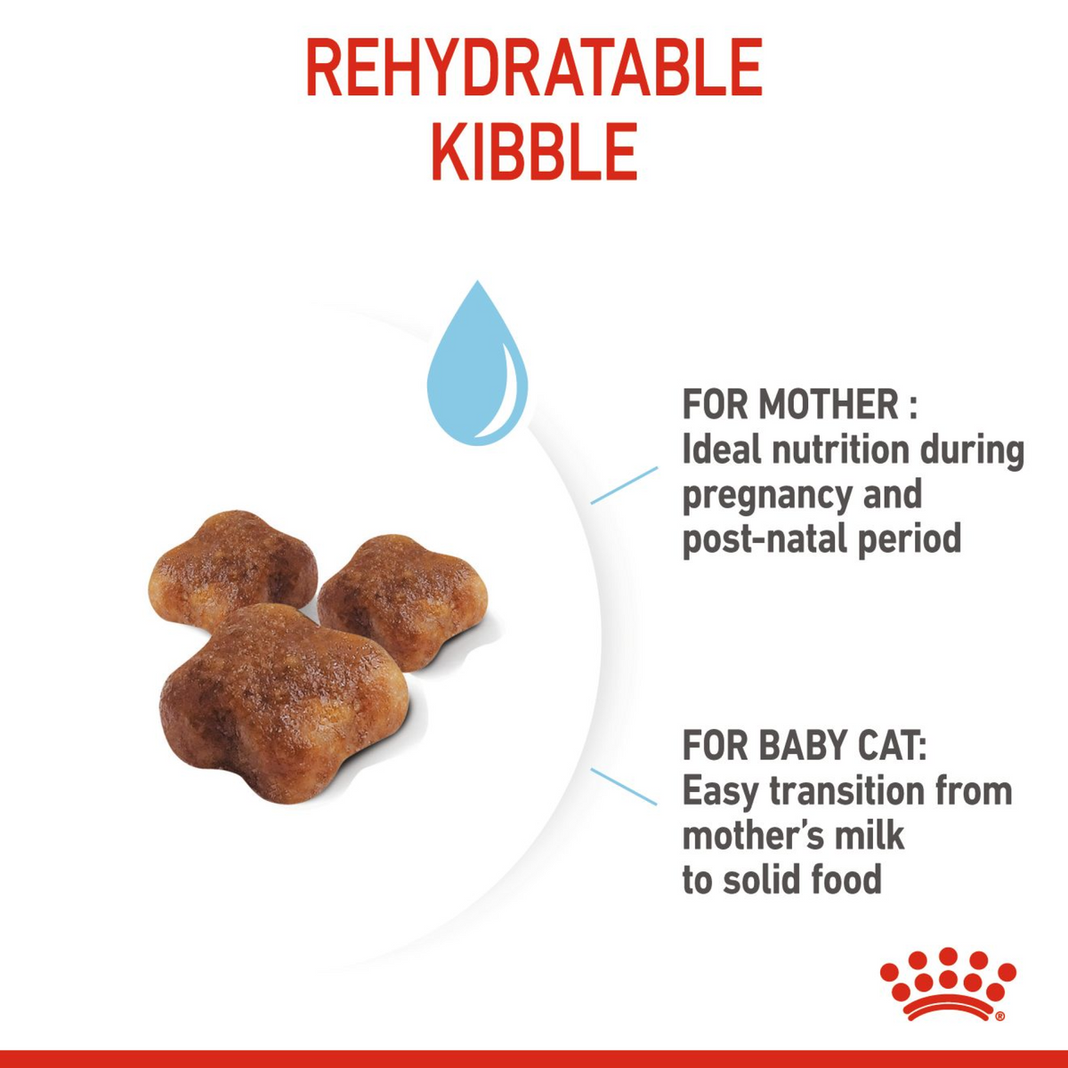 Feline Health Nutrition Mother & Babycat