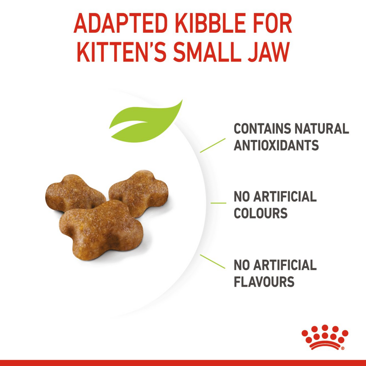 Feline Health Nutrition Kitten - Royal Canin