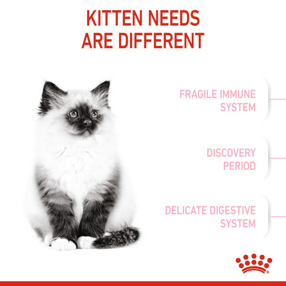 Feline Health Nutrition Kitten - Royal Canin