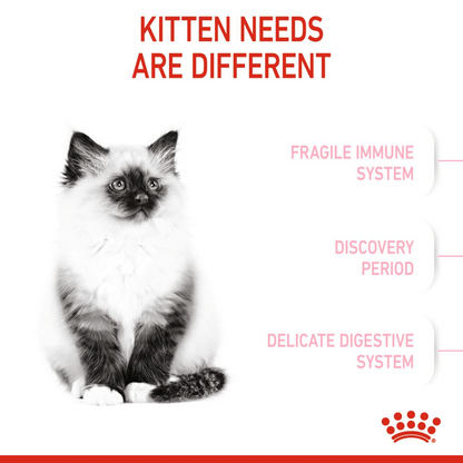 Feline Health Nutrition Kitten - Royal Canin