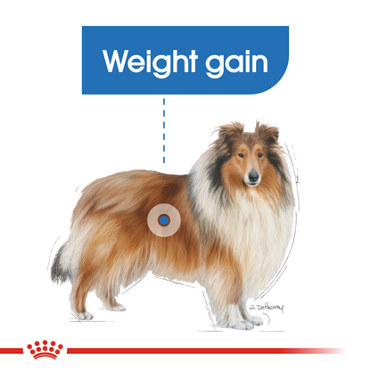 Canine Care Nutrition Maxi Light Weight Care 12 kg