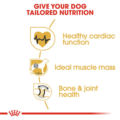 Breed Health Nutrition Rottweiler Adult 12 kg