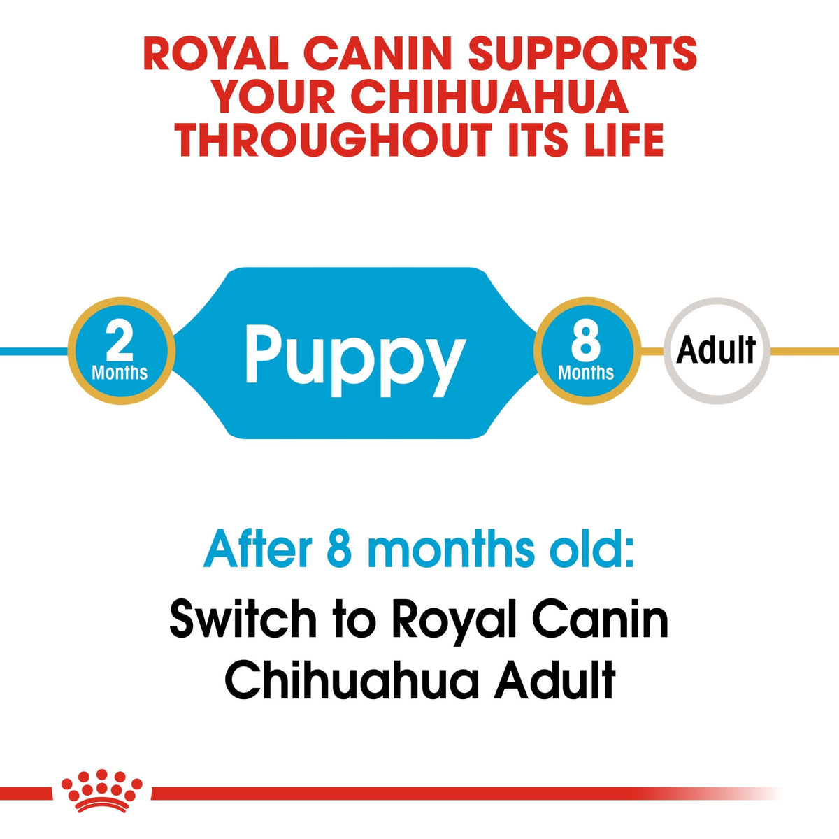 Breed Health Nutrition Chihuahua Puppy 1.5 kg