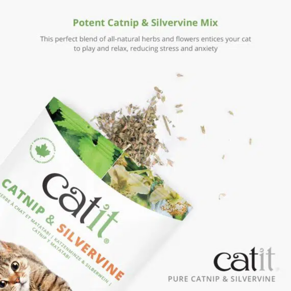 Catit Dried Catnip & Silverine Mix 28 g