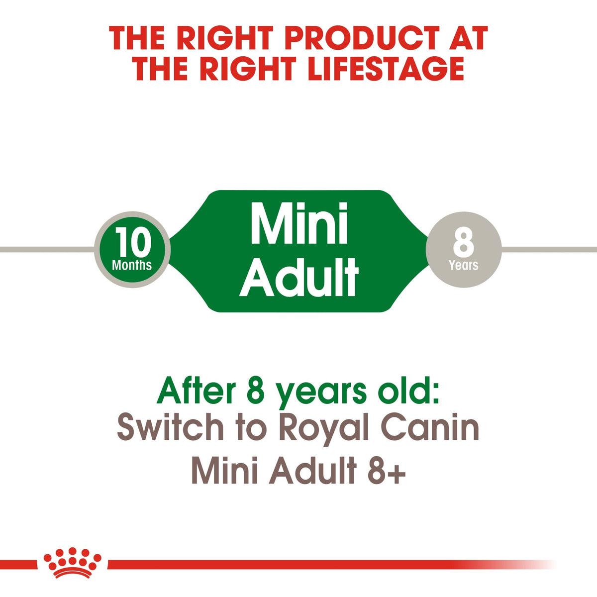 Size Health Nutrition Mini Adult