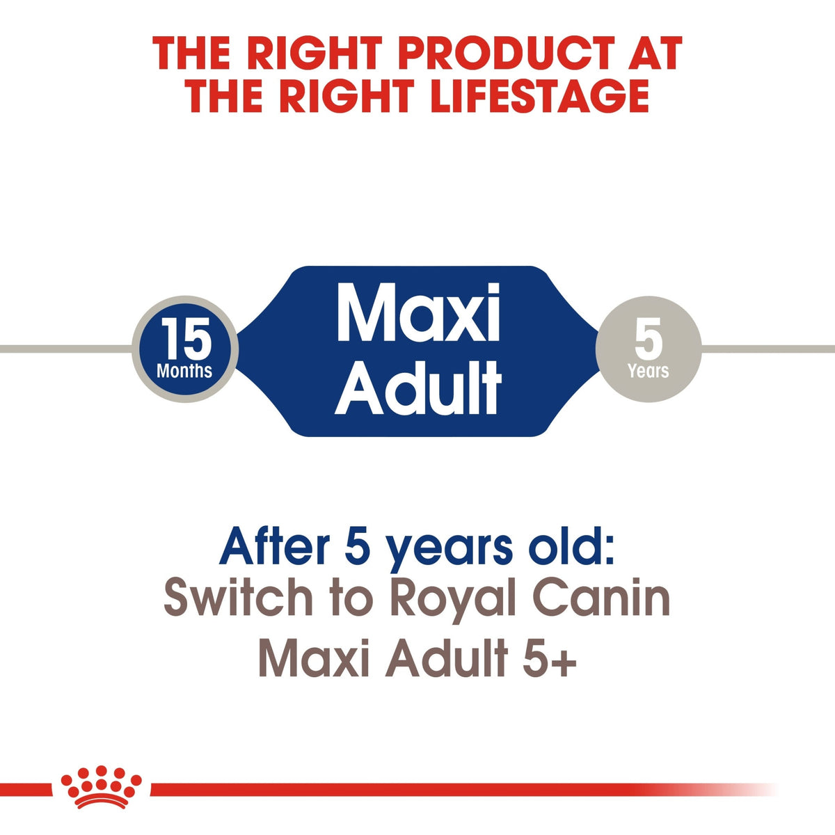 Size Health Nutrition Maxi Adult - ROYAL CANIN®