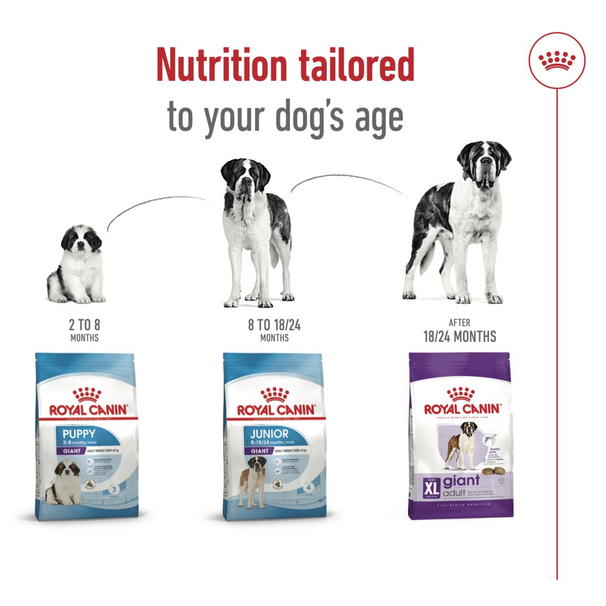 Size Health Nutrition Giant Adult 15 kg