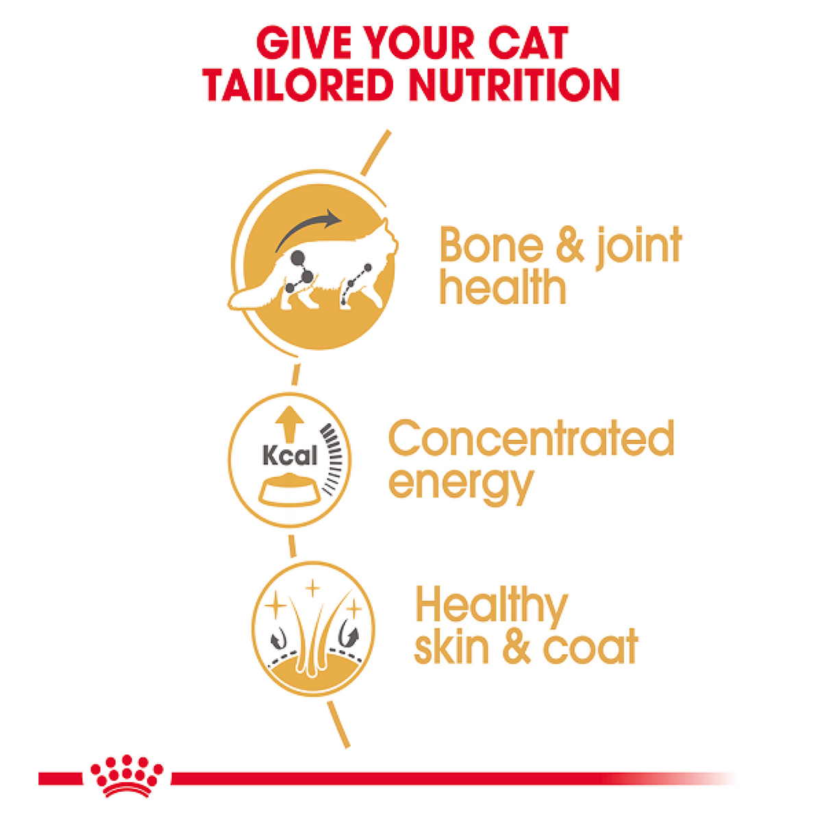 Feline Breed Nutrition Maine Coon (Wet Food - Pouches)85 g - Pack of 12