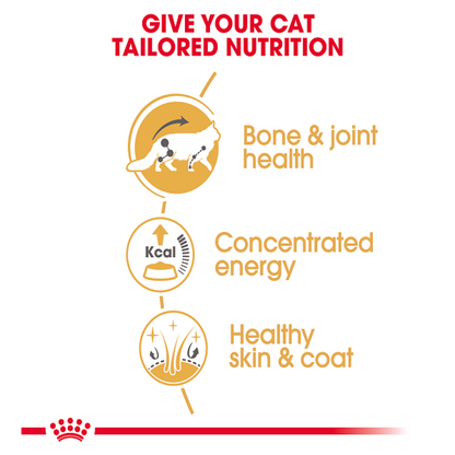 Feline Breed Nutrition Maine Coon (Wet Food - Pouches)85 g - Pack of 12