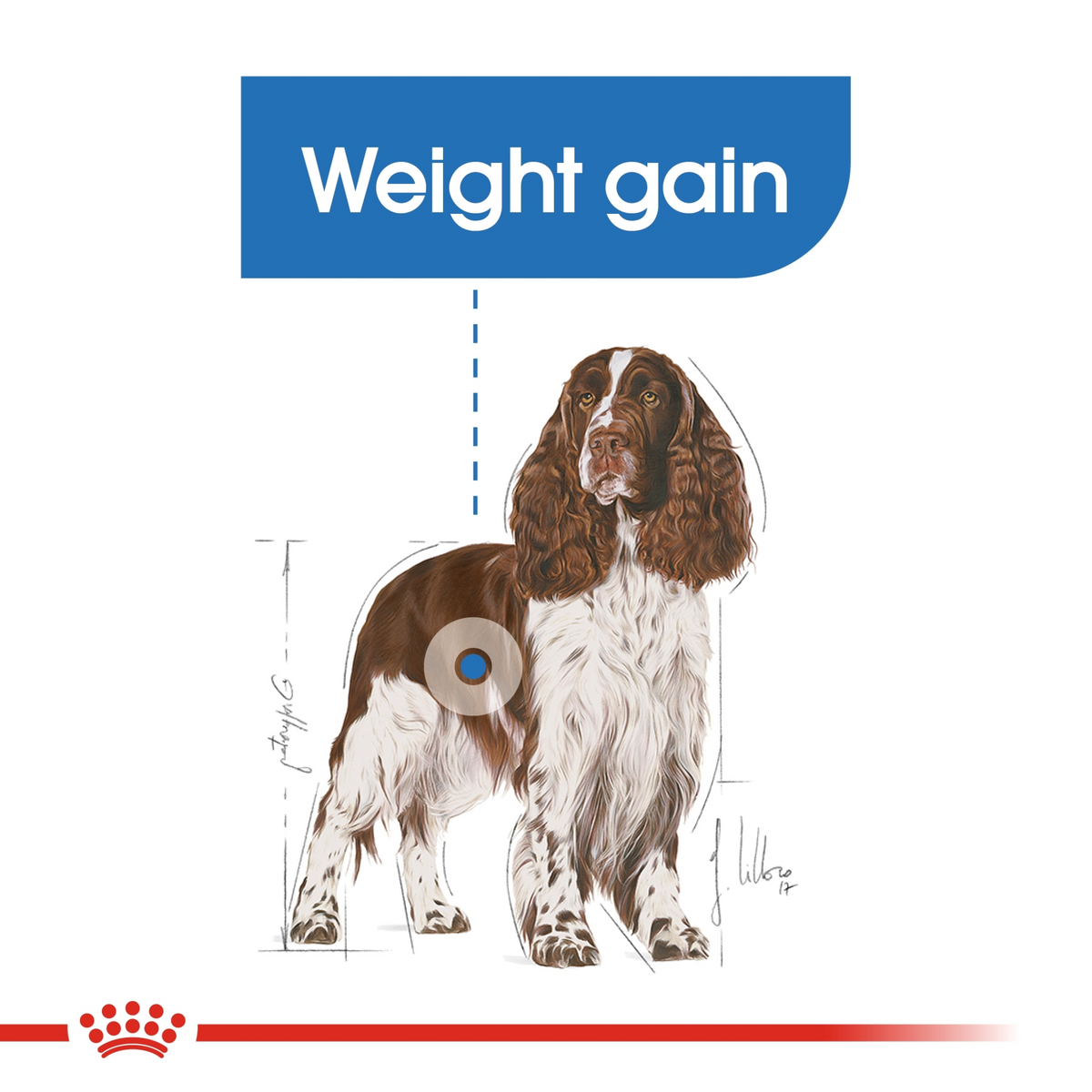 Canine Care Nutrition Medium Light Weight Care 12 kg