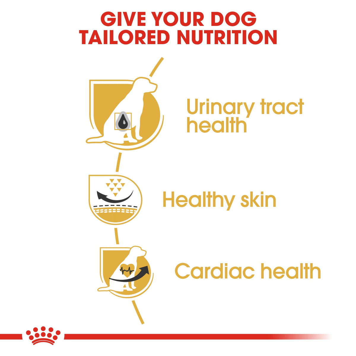 Breed Health Nutrition Dalmatian Adult 12 kg
