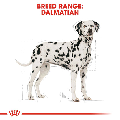 Breed Health Nutrition Dalmatian Adult 12 kg