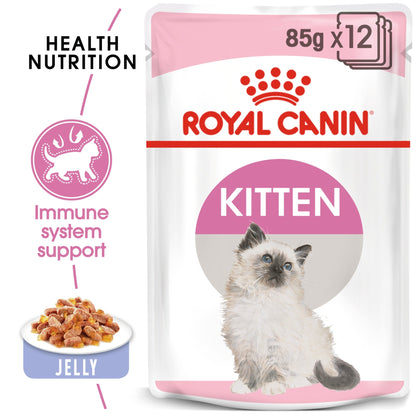 Feline Health Nutrition Kitten Jelly (Wet Food - Pouches) 12 x 85 g - BOX