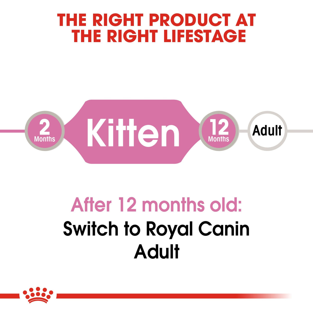 Feline Health Nutrition Kitten Jelly (Wet Food - Pouches) 12 x 85 g - BOX