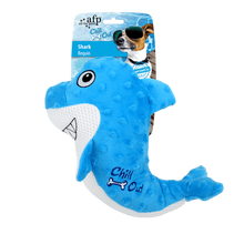 Chill Out Shark