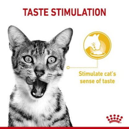 Feline Health Nutrition Sensory Taste Gravy (Wet Food - Pouches) 12 x 85 g - BOX