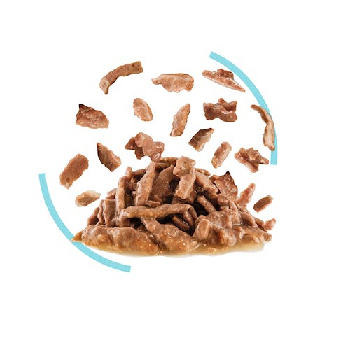 Feline Health Nutrition Sensory Feel Gravy (Wet Food - Pouches) 12 x 85 g - BOX