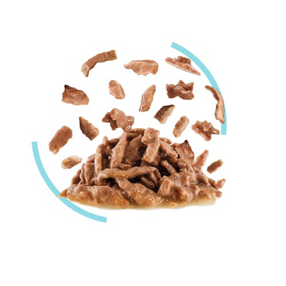Feline Health Nutrition Sensory Feel Gravy (Wet Food - Pouches) 12 x 85 g - BOX