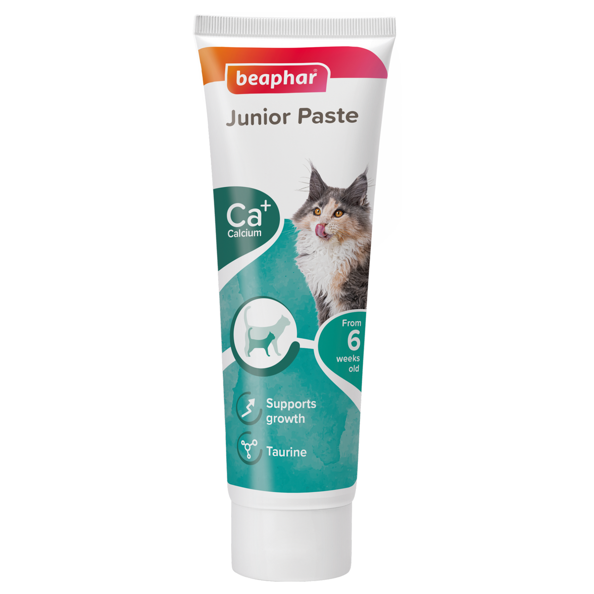 Junior Paste for Cats 100 g