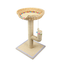 Whisker Fiesta Cactus Cat Tree