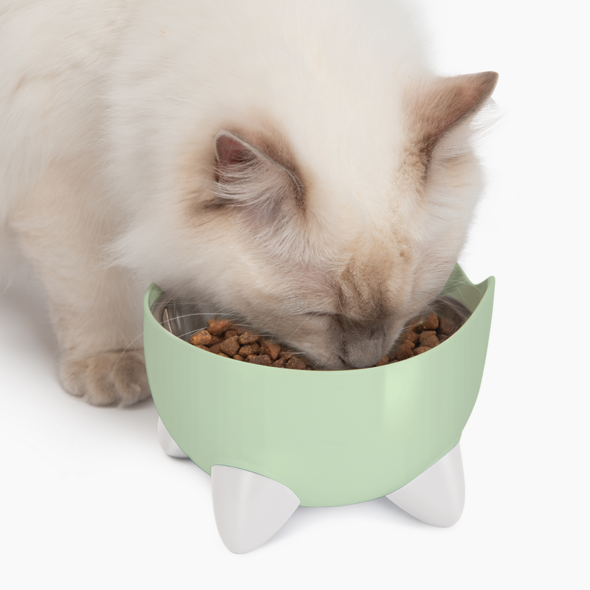 Catit Pixi Drinking Fountain Combo Pack, Green