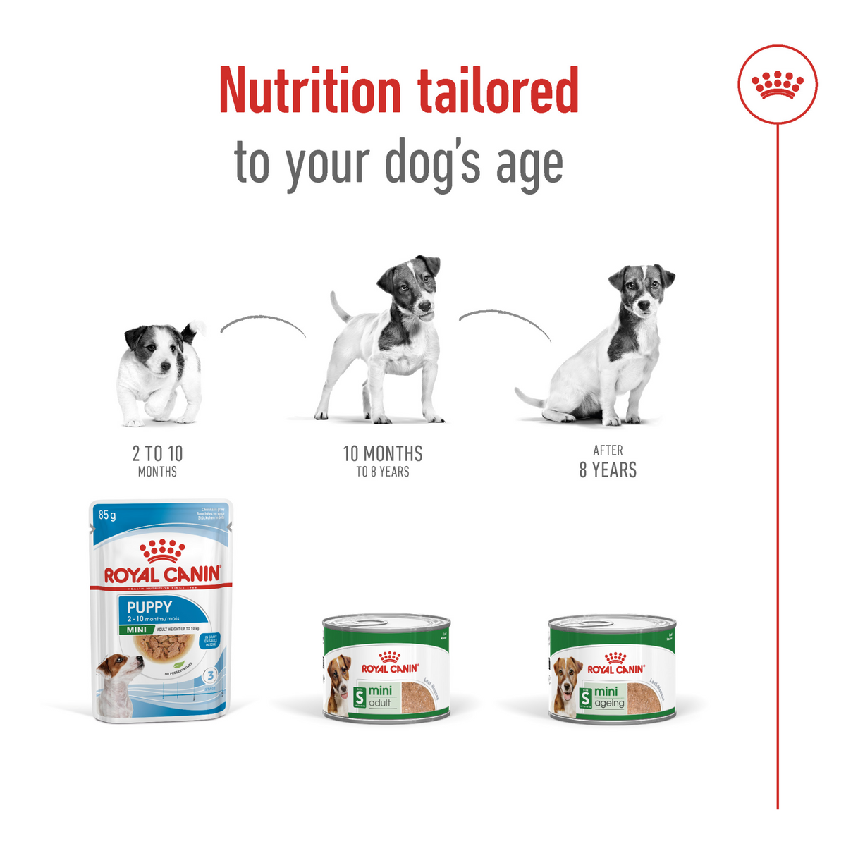 Size Health Nutrition Mini Adult (Wet Food - Can) 12 x 195 g