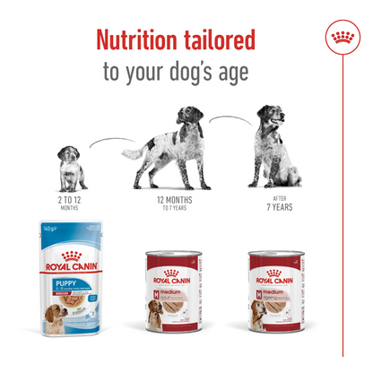 Size Health Nutrition Medium Adult (Wet Food - Can) 12 x 410 g