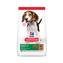 HillÃƒÆ’Ã‚Â¢ÃƒÂ¢Ã¢â‚¬Å¡Ã‚Â¬ÃƒÂ¢Ã¢â‚¬Å¾Ã‚Â¢s Science Plan Medium Puppy Food With Lamb&Rice (14kg)